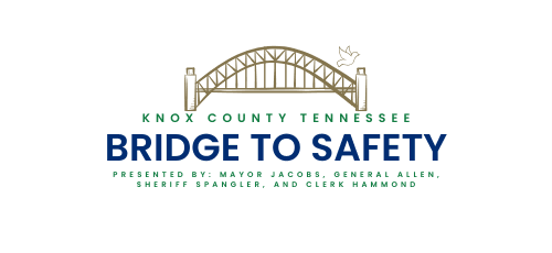 Bridge to Safety logo